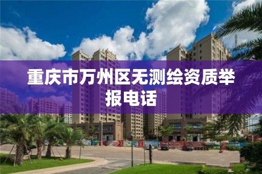 重庆市万州区无测绘资质举报电话