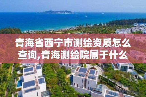 青海省西宁市测绘资质怎么查询,青海测绘院属于什么单位