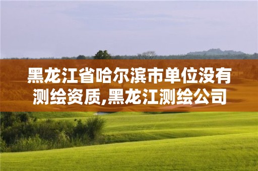 黑龙江省哈尔滨市单位没有测绘资质,黑龙江测绘公司乙级资质