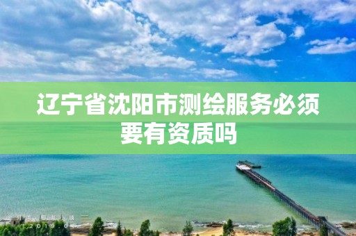 辽宁省沈阳市测绘服务必须要有资质吗