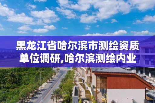 黑龙江省哈尔滨市测绘资质单位调研,哈尔滨测绘内业招聘信息