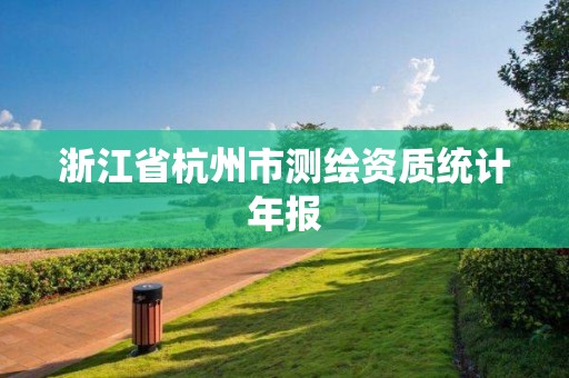 浙江省杭州市测绘资质统计年报