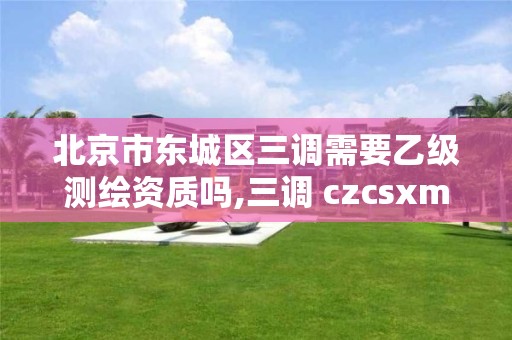 北京市东城区三调需要乙级测绘资质吗,三调 czcsxm。