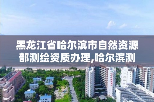 黑龙江省哈尔滨市自然资源部测绘资质办理,哈尔滨测绘局幼儿园是民办还是公办