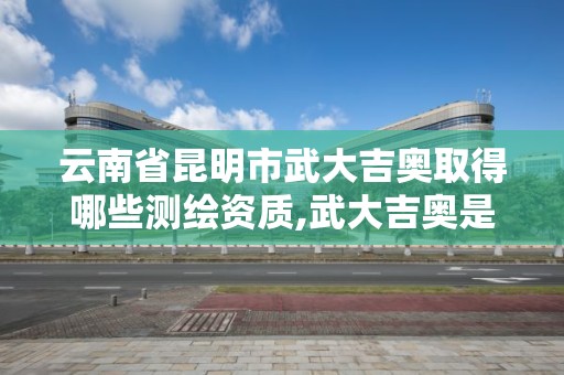 云南省昆明市武大吉奥取得哪些测绘资质,武大吉奥是什么公司。