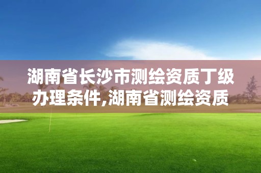 湖南省长沙市测绘资质丁级办理条件,湖南省测绘资质查询