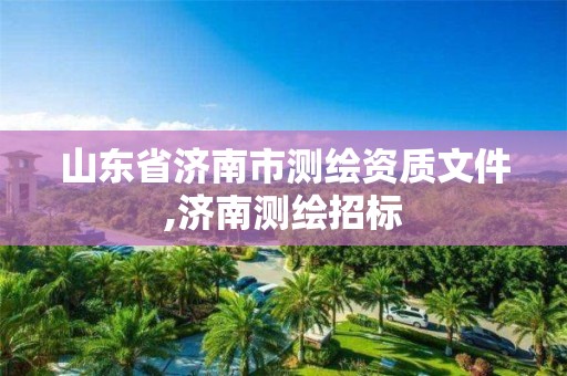 山东省济南市测绘资质文件,济南测绘招标