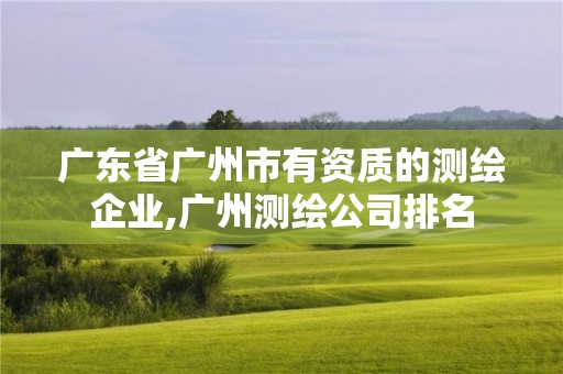 广东省广州市有资质的测绘企业,广州测绘公司排名