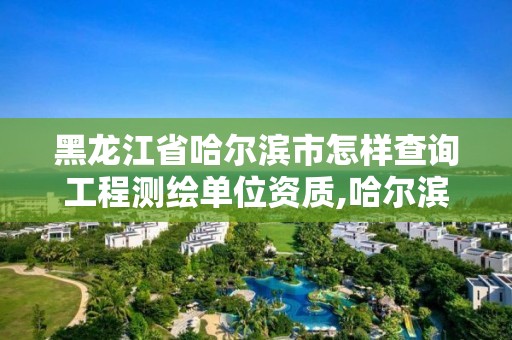 黑龙江省哈尔滨市怎样查询工程测绘单位资质,哈尔滨测绘地理信息局