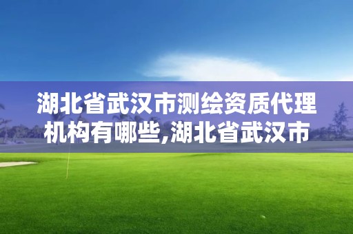 湖北省武汉市测绘资质代理机构有哪些,湖北省武汉市测绘资质代理机构有哪些公司。