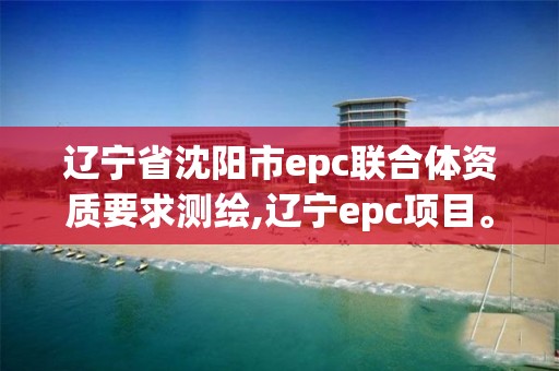 辽宁省沈阳市epc联合体资质要求测绘,辽宁epc项目。