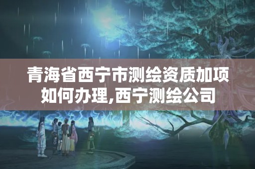 青海省西宁市测绘资质加项如何办理,西宁测绘公司