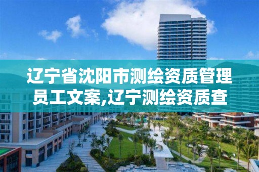 辽宁省沈阳市测绘资质管理员工文案,辽宁测绘资质查询。