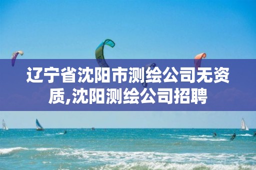 辽宁省沈阳市测绘公司无资质,沈阳测绘公司招聘