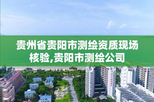 贵州省贵阳市测绘资质现场核验,贵阳市测绘公司