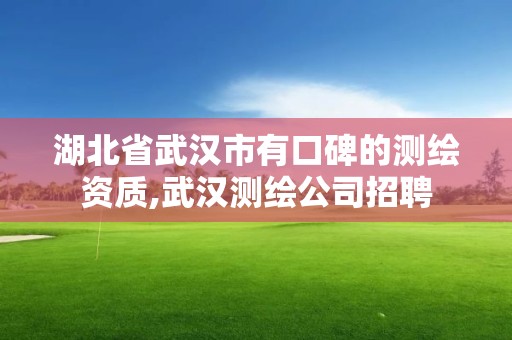 湖北省武汉市有口碑的测绘资质,武汉测绘公司招聘