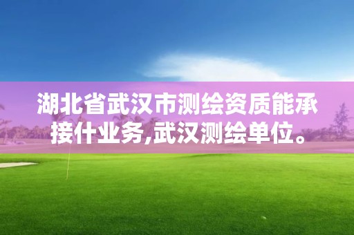 湖北省武汉市测绘资质能承接什业务,武汉测绘单位。