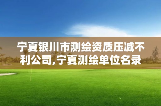 宁夏银川市测绘资质压减不利公司,宁夏测绘单位名录。