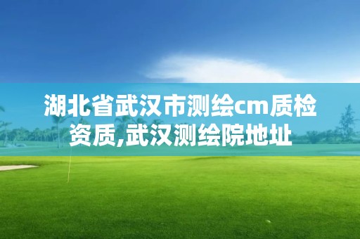 湖北省武汉市测绘cm质检资质,武汉测绘院地址