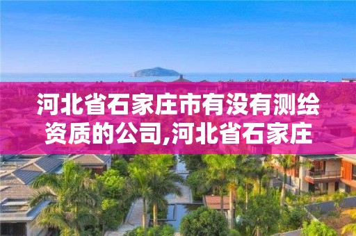 河北省石家庄市有没有测绘资质的公司,河北省石家庄市有没有测绘资质的公司啊