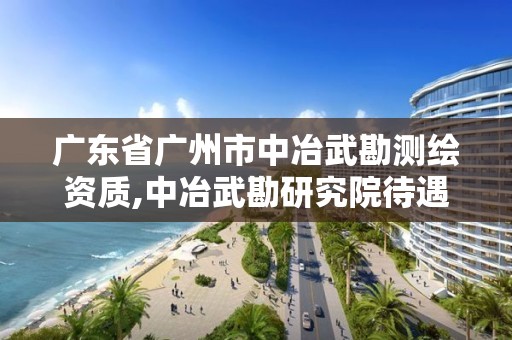 广东省广州市中冶武勘测绘资质,中冶武勘研究院待遇怎么样