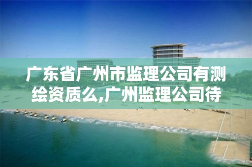 广东省广州市监理公司有测绘资质么,广州监理公司待遇排名。