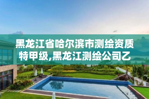 黑龙江省哈尔滨市测绘资质特甲级,黑龙江测绘公司乙级资质