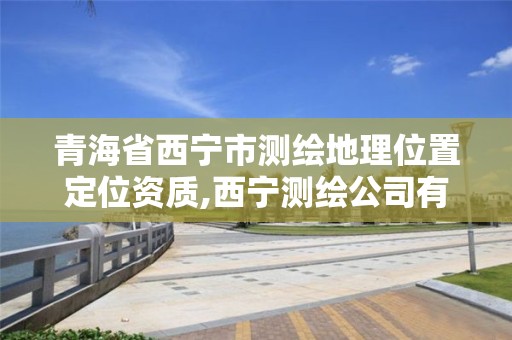 青海省西宁市测绘地理位置定位资质,西宁测绘公司有哪些