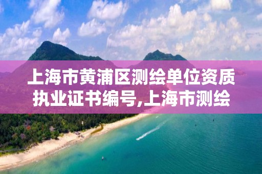 上海市黄浦区测绘单位资质执业证书编号,上海市测绘资质单位名单。