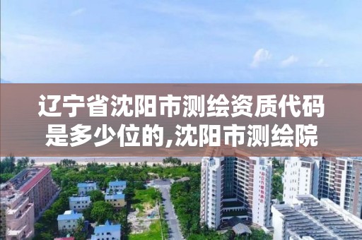 辽宁省沈阳市测绘资质代码是多少位的,沈阳市测绘院电话。