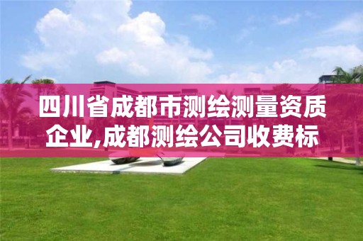 四川省成都市测绘测量资质企业,成都测绘公司收费标准