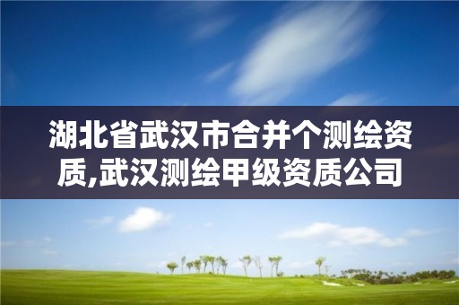 湖北省武汉市合并个测绘资质,武汉测绘甲级资质公司