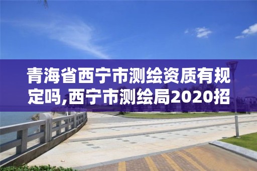 青海省西宁市测绘资质有规定吗,西宁市测绘局2020招聘。