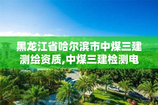 黑龙江省哈尔滨市中煤三建测绘资质,中煤三建检测电话。