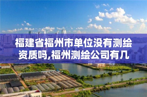 福建省福州市单位没有测绘资质吗,福州测绘公司有几家