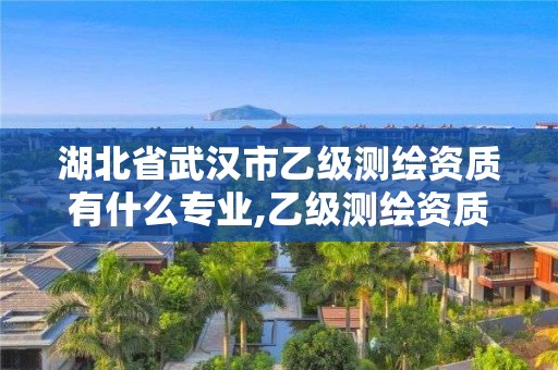 湖北省武汉市乙级测绘资质有什么专业,乙级测绘资质单位名录。