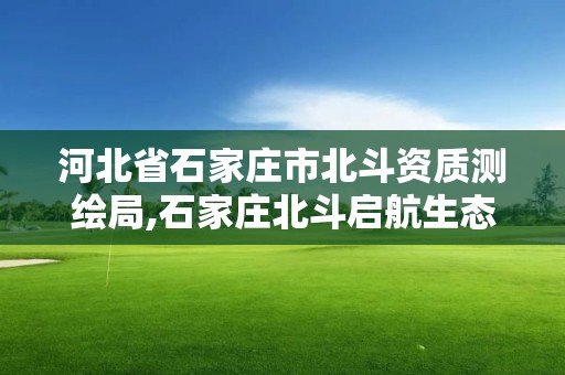 河北省石家庄市北斗资质测绘局,石家庄北斗启航生态科技小镇一期工程 建筑面积