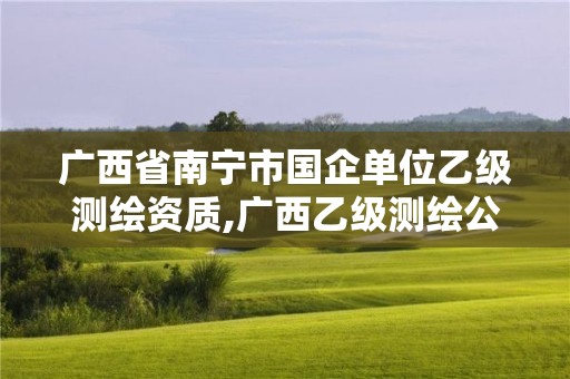 广西省南宁市国企单位乙级测绘资质,广西乙级测绘公司名单