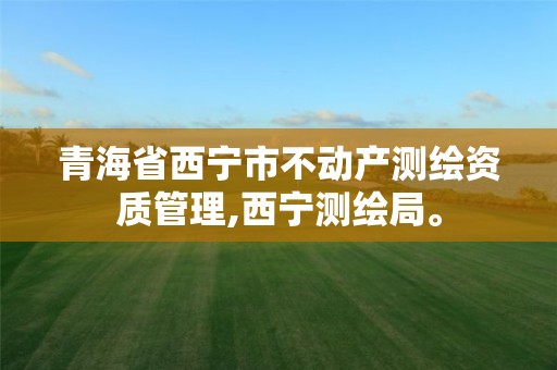 青海省西宁市不动产测绘资质管理,西宁测绘局。