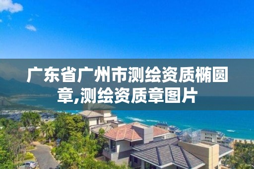 广东省广州市测绘资质椭圆章,测绘资质章图片