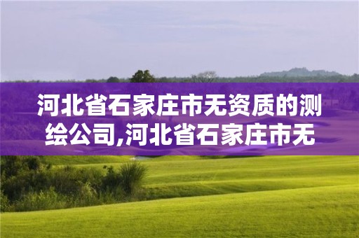 河北省石家庄市无资质的测绘公司,河北省石家庄市无资质的测绘公司有几家