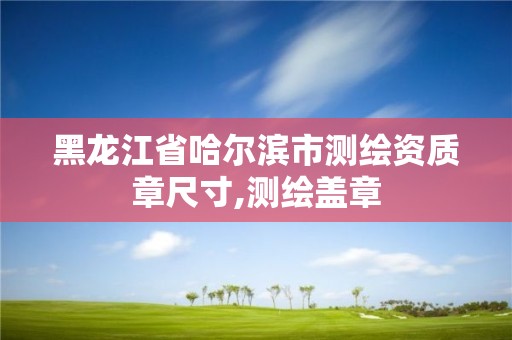 黑龙江省哈尔滨市测绘资质章尺寸,测绘盖章