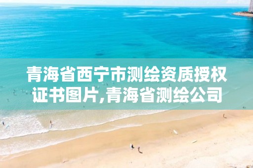 青海省西宁市测绘资质授权证书图片,青海省测绘公司。