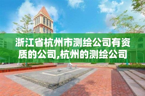 浙江省杭州市测绘公司有资质的公司,杭州的测绘公司有哪些。