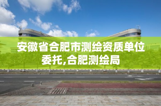 安徽省合肥市测绘资质单位委托,合肥测绘局