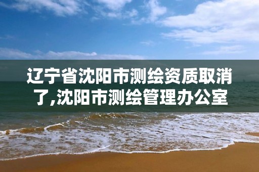 辽宁省沈阳市测绘资质取消了,沈阳市测绘管理办公室