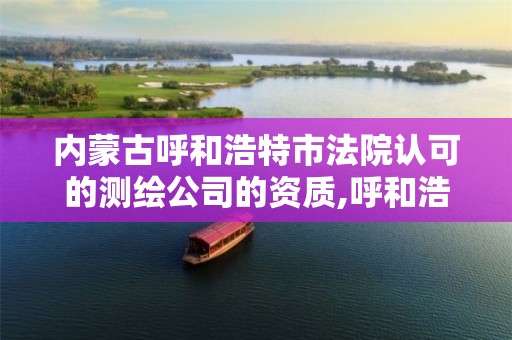 内蒙古呼和浩特市法院认可的测绘公司的资质,呼和浩特测绘局属于什么单位管理。