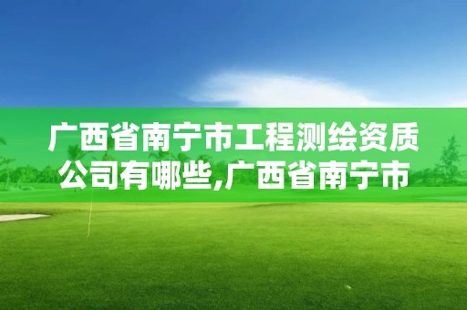 广西省南宁市工程测绘资质公司有哪些,广西省南宁市工程测绘资质公司有哪些单位。