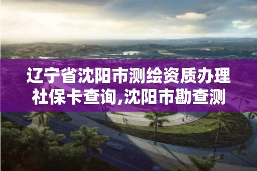 辽宁省沈阳市测绘资质办理社保卡查询,沈阳市勘查测绘。