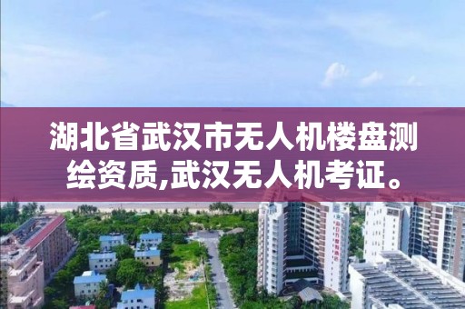 湖北省武汉市无人机楼盘测绘资质,武汉无人机考证。